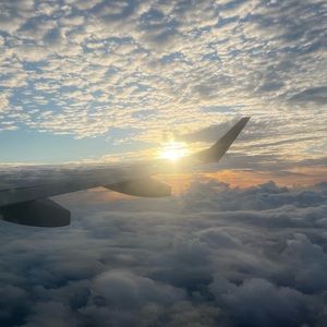 Meet your Posher, Scarlett